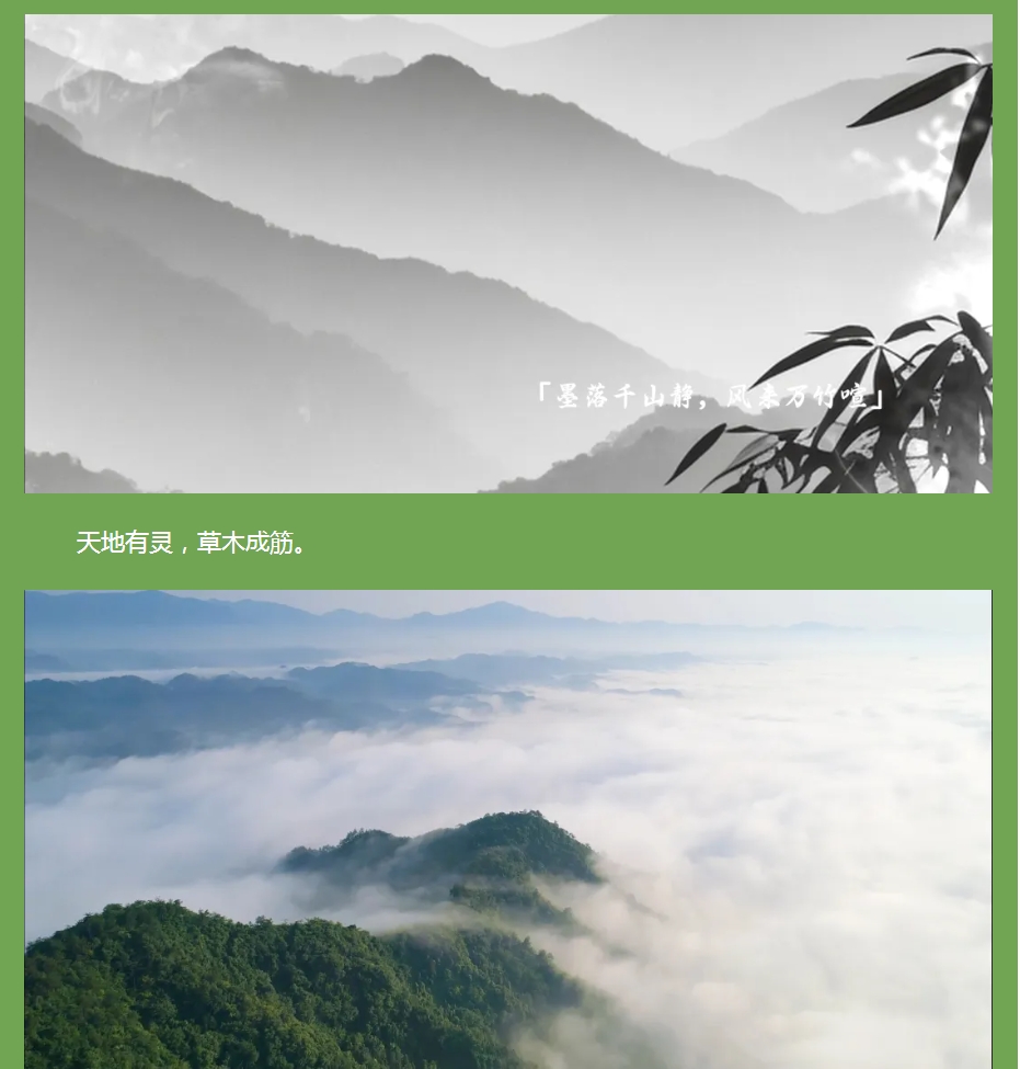 以竹為骨，筑就健康之境 —— 竹筋香韻凈化板