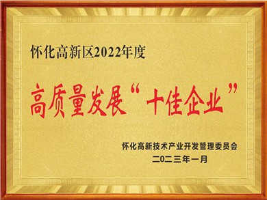 高質量發(fā)展十佳企業(yè)
